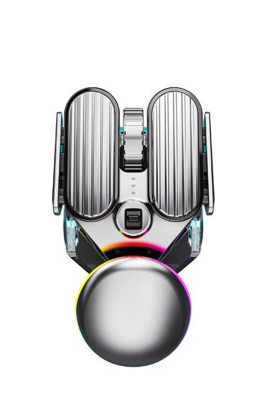 เมาส์ไร้สายแบบชาร์จไฟได้ ไร้เสียง, 6 ปุ่ม, 4800 DPI, ไฟ RGB, โหมดคู่, สีเงินเมทัลลิก